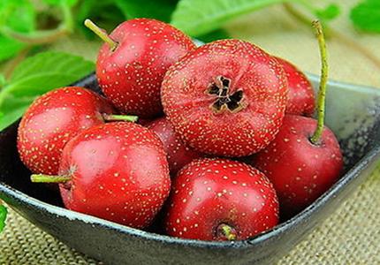 山楂:果胶之王.jpg 山楂:果胶之王.jpg